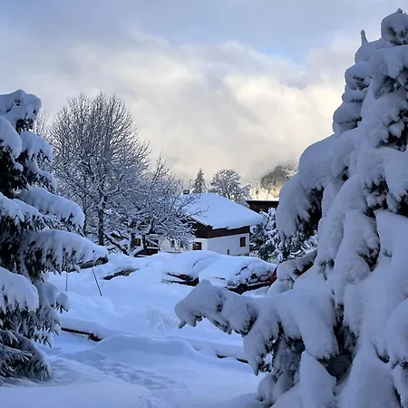 Voland - Aux Pieds Des Pistes
